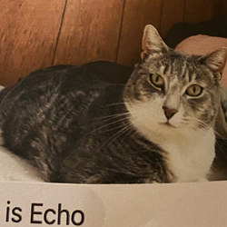 Echo.png